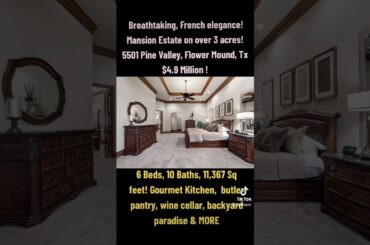 Breathtaking French Mansion on Over 3 acres!