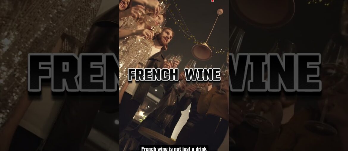 France - Wine Paradise #shorts #france #wine #wineculture #frenchtravel #frenchcuisine #frenchwine