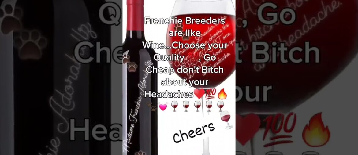 Madame Frenchie Adorabullz #frenchie #puppy #2024