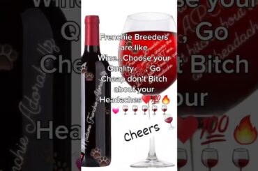 Madame Frenchie Adorabullz #frenchie #puppy #2024