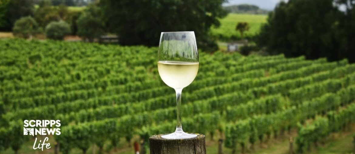 Sustainable Non-Alcoholic Wines Explained by Oceano’s Rachel Martin Sustainable Non-Alcoholic Wines Explained by Oceano's Rachel Martin