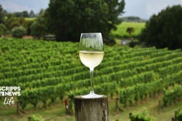 Sustainable Non-Alcoholic Wines Explained by Oceano's Rachel Martin