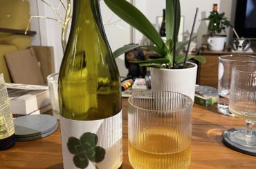 🍀🍀🍀 Vinyes Singulars Can Marti 🍀🍀🍀