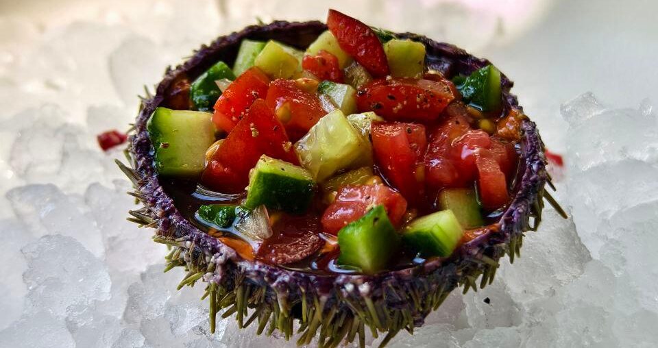 Oursin au tartare de légumes, ponzu.