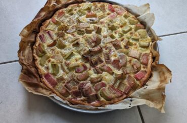 Tart with rhubarb from my garden