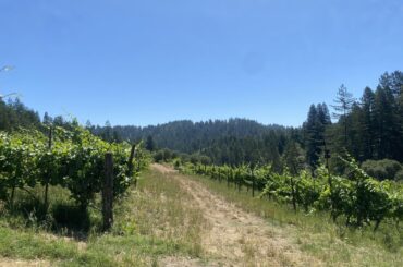 Porter-Bass in Guerneville, CA