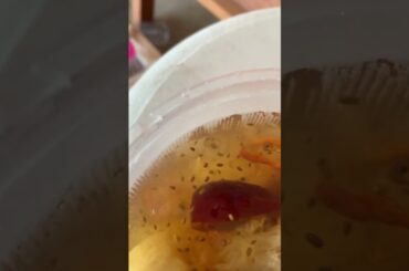 Eating Sweet French #food #sweet #eating