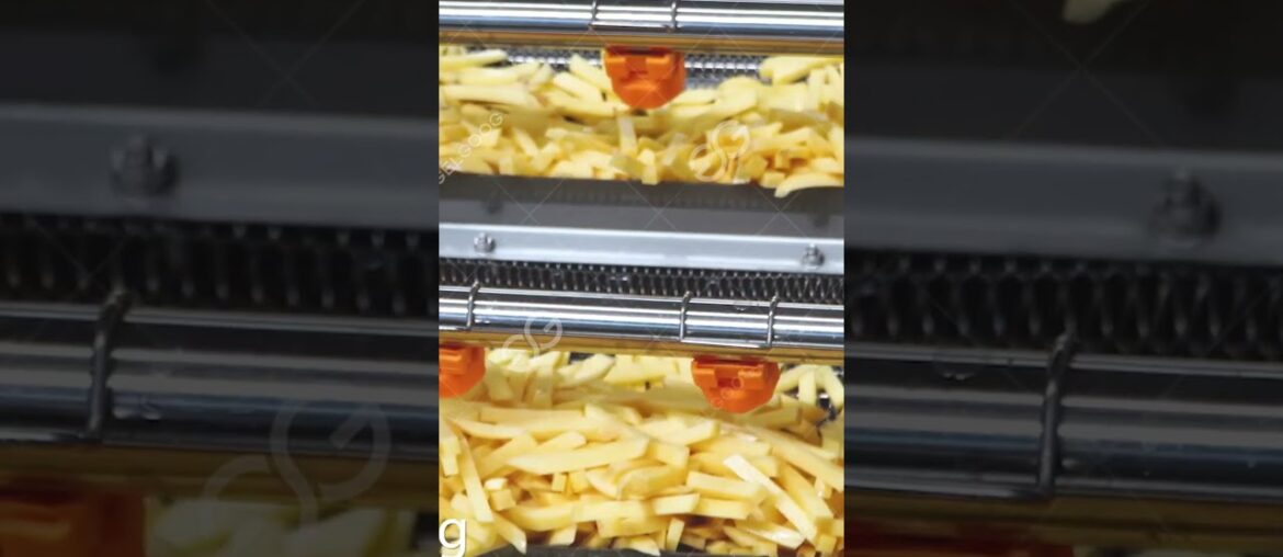 French Fries Making Factory