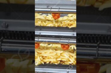 French Fries Making Factory