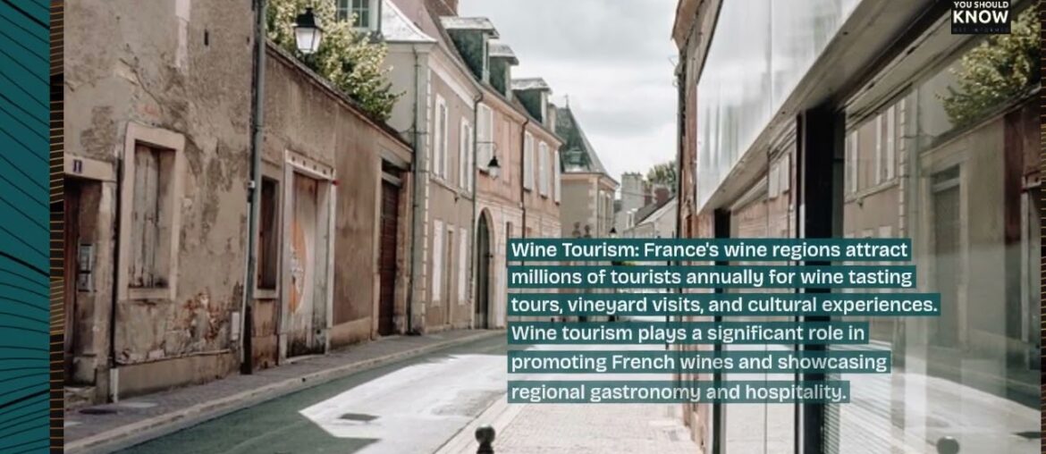 Top 10 Facts About France’s Wine Regions Top 10 Facts About France’s Wine Regions