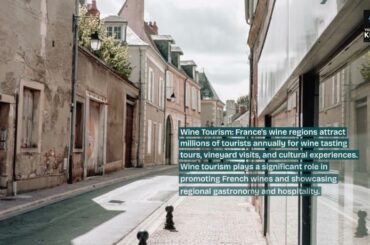 Top 10 Facts About France’s Wine Regions