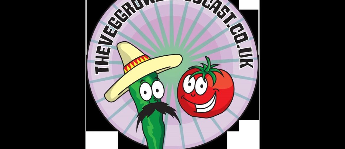 #560 The Most Exciting Seeds to Sow in July