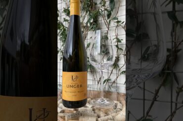 Unveil the elegance and freshness of Sauvignon Blanc Furth! VinoVistara Wine Shop #VinoVistara