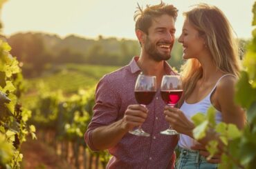 French Wine Tasting: A Journey Through the Vineyards