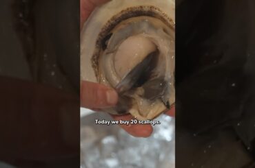 Each scallop is meticulously chosen at this Michelin-star restaurant