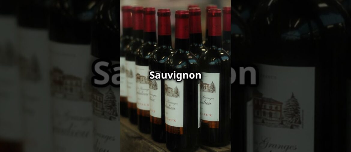 Master French Wine Region Pronunciation Part 1 2024 07 15 1 Master French Wine Region Pronunciation Part 1 2024 07 15 1