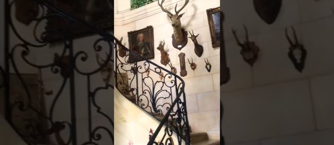 Visiting a French Chateau #shorts #castle #french #fairytale