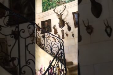 Visiting a French Chateau #shorts #castle #french #fairytale