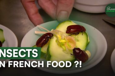 The Insect Revolution on French Plates! | Gourmet Journeys