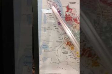 #frenchwine #wine #wineand geese