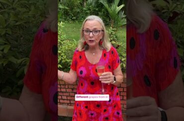 What is Cava? And how is Cava different to champagne? #cava #winelovers #winetime #drink