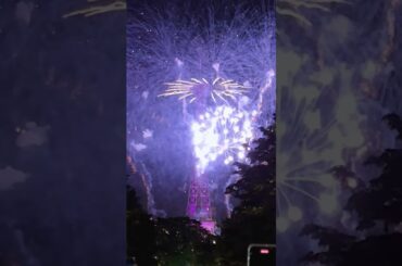 Happy Bastille Day! #france #paris #fyp #travel #holiday #fireworks #europe #celebration #french