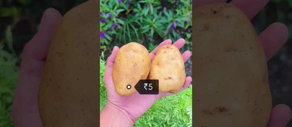 15 Rs mai French #food #frieslover #foodie #fries #streetfood #frenchfrie #recipe #frenchfries #frie