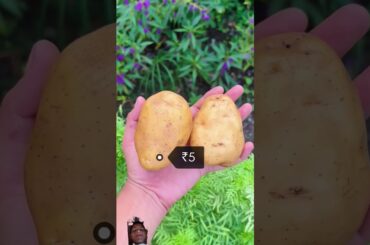 15 Rs mai French #food #frieslover #foodie #fries #streetfood #frenchfrie #recipe #frenchfries #frie