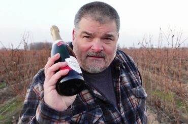 LOVELY BUBBLE Henkell 2016 Cremant de Loire (France)