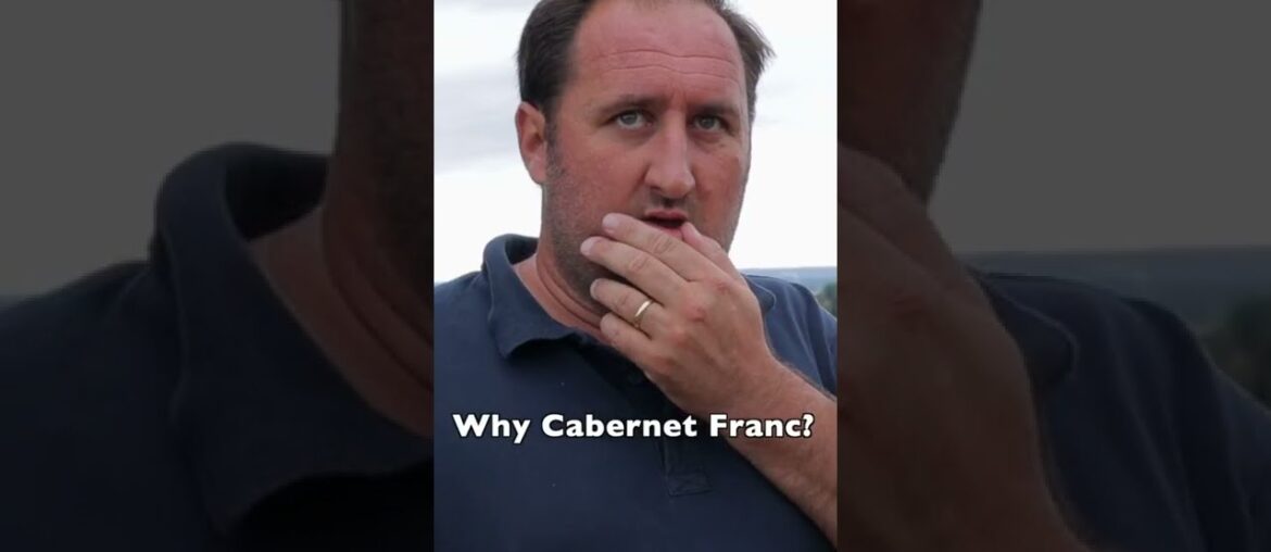 Is this RED WINE grape the future of BORDEAUX? #shorts Is this RED WINE grape the future of BORDEAUX? #shorts