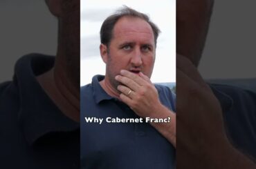 Is this RED WINE grape the future of BORDEAUX? #shorts