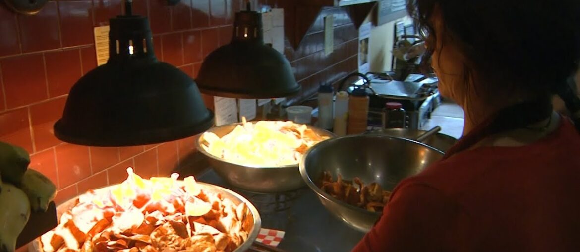 The Gourmet Chip Company