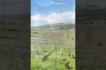 TEAMWORK IN CHAMPAGNE