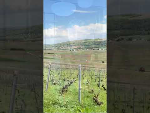 TEAMWORK IN CHAMPAGNE TEAMWORK IN CHAMPAGNE