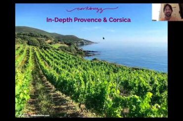 In Depth Provence and Corsica
