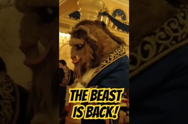 The BEAST Returns to the Be Our Guest Restaurant #shorts #disney #disneyworld #beautyandthebeast
