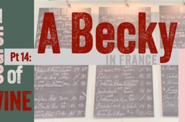 In Search of French Wine