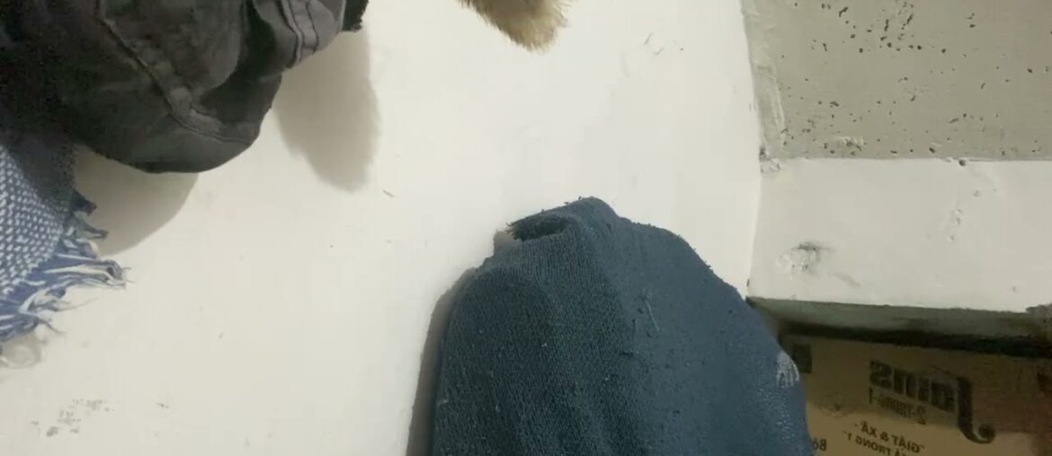 Gourmet Cooking Mastering French Cuisine Gourmet Cooking Mastering French Cuisine