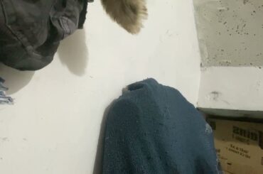 Gourmet Cooking Mastering French Cuisine