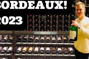 2023 Bordeaux: 11 BEST BUY Wines!