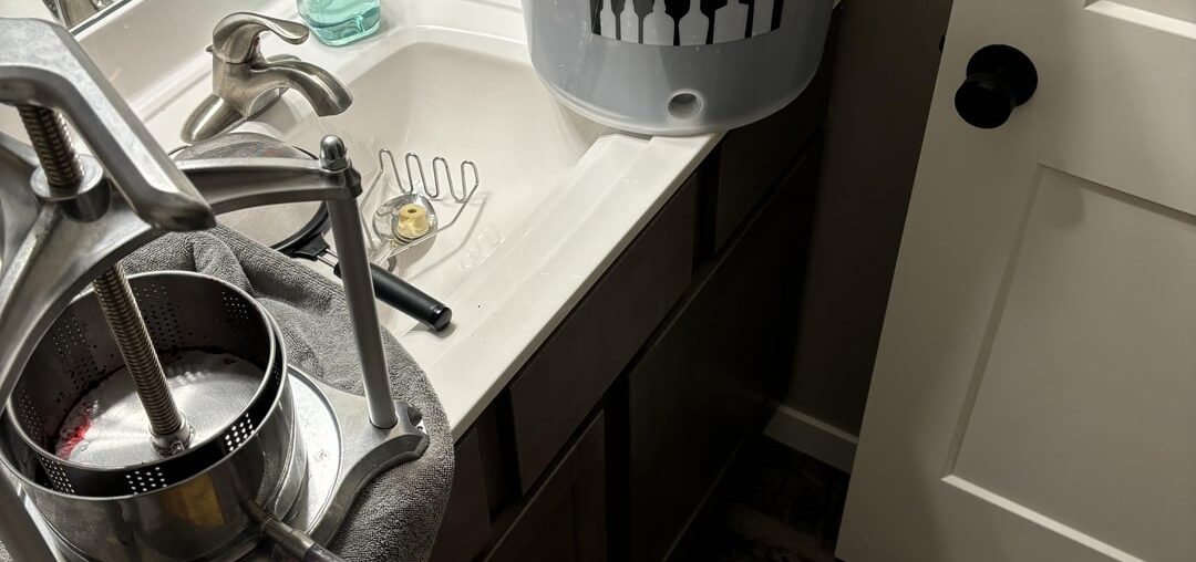 Aronia berry pressing Aronia berry pressing