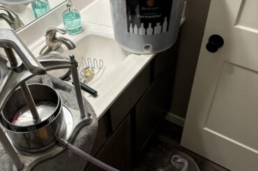 Aronia berry pressing