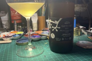 Dom. Piccard - Coup De Fouet Grand Cru Villette 2019 - Lavaux, Switzerland