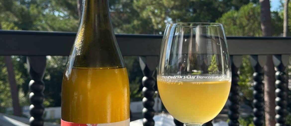 Maitre Splinter - La Sorga