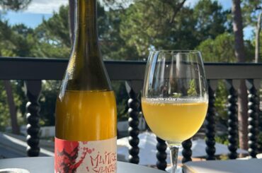 Maitre Splinter - La Sorga