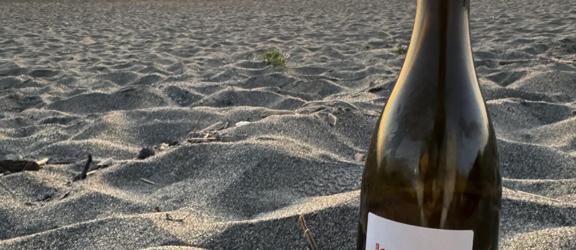 “le Ginglet” 2020