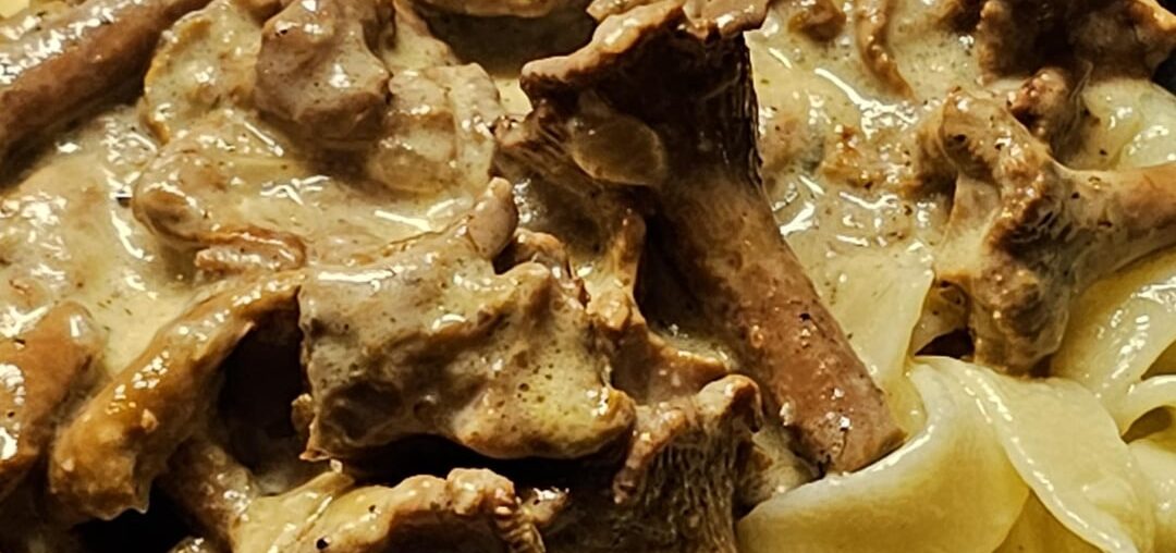 Chanterelles at a creamy sauce, with fettuccine