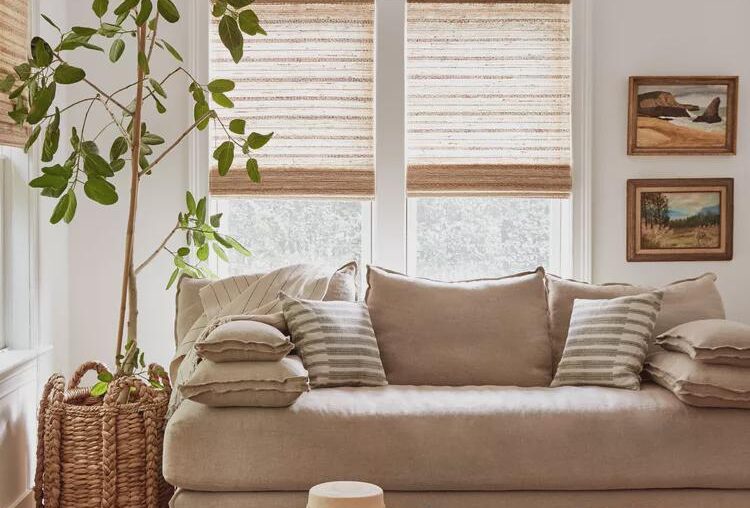 Cozy and Organic Living Room Biltmore Forest, NC, United States [750x919]