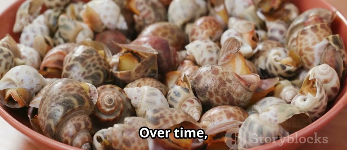 Exploring the delicacy of Esacargot : From farm to table Exploring the delicacy of Esacargot : From farm to table