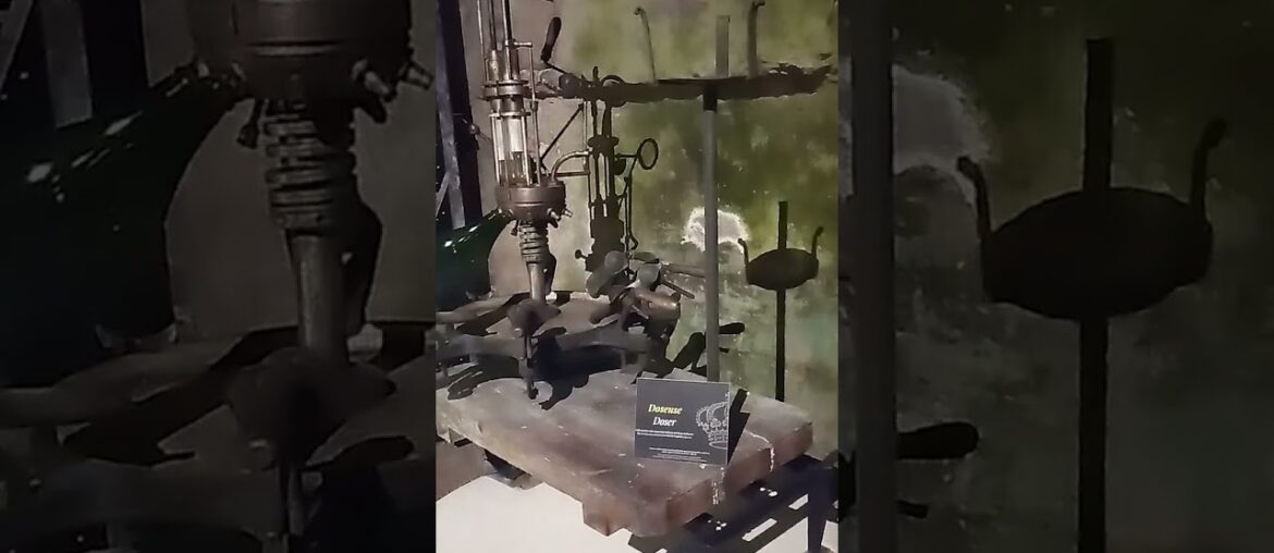 Ackerman Winery Saumur Visit